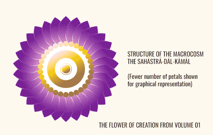 Lets-Evolve-Book-Series-flower-of-creation-design-meaning-by-Artisticodopeo-Designz-01-o.gif Image